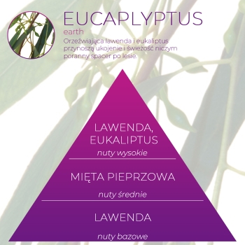 <B>EUCALYPTUS</B> SPRAY 250 ml odświeżacz powietrza PREMIUM